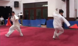 武术视频,视频解析传统武术招式与技巧