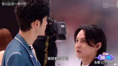 娱乐吃瓜尹正小说,娱乐圈的瓜田秘闻录